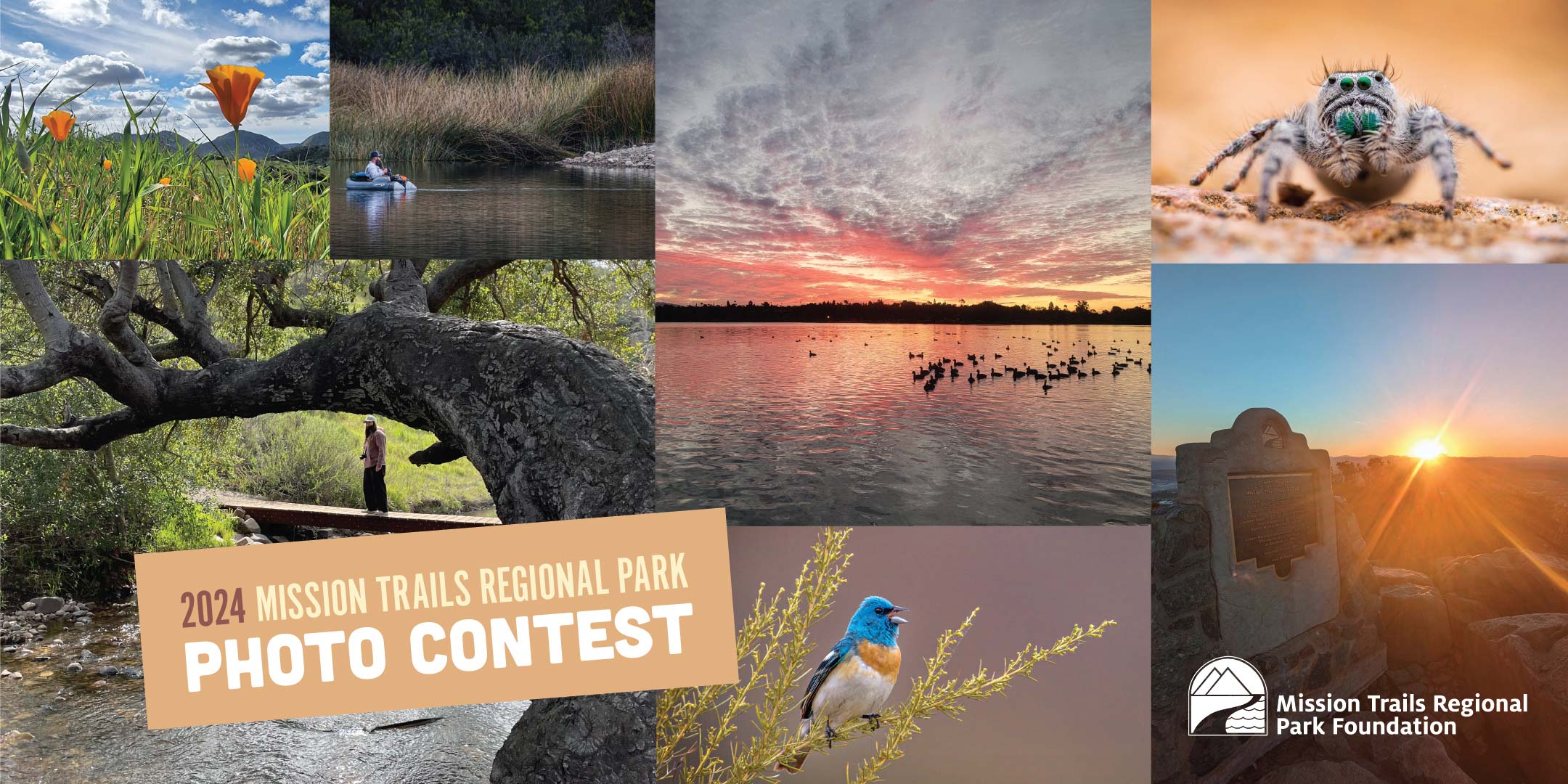 31st Annual Mission Trails Regional Park Photo Contest